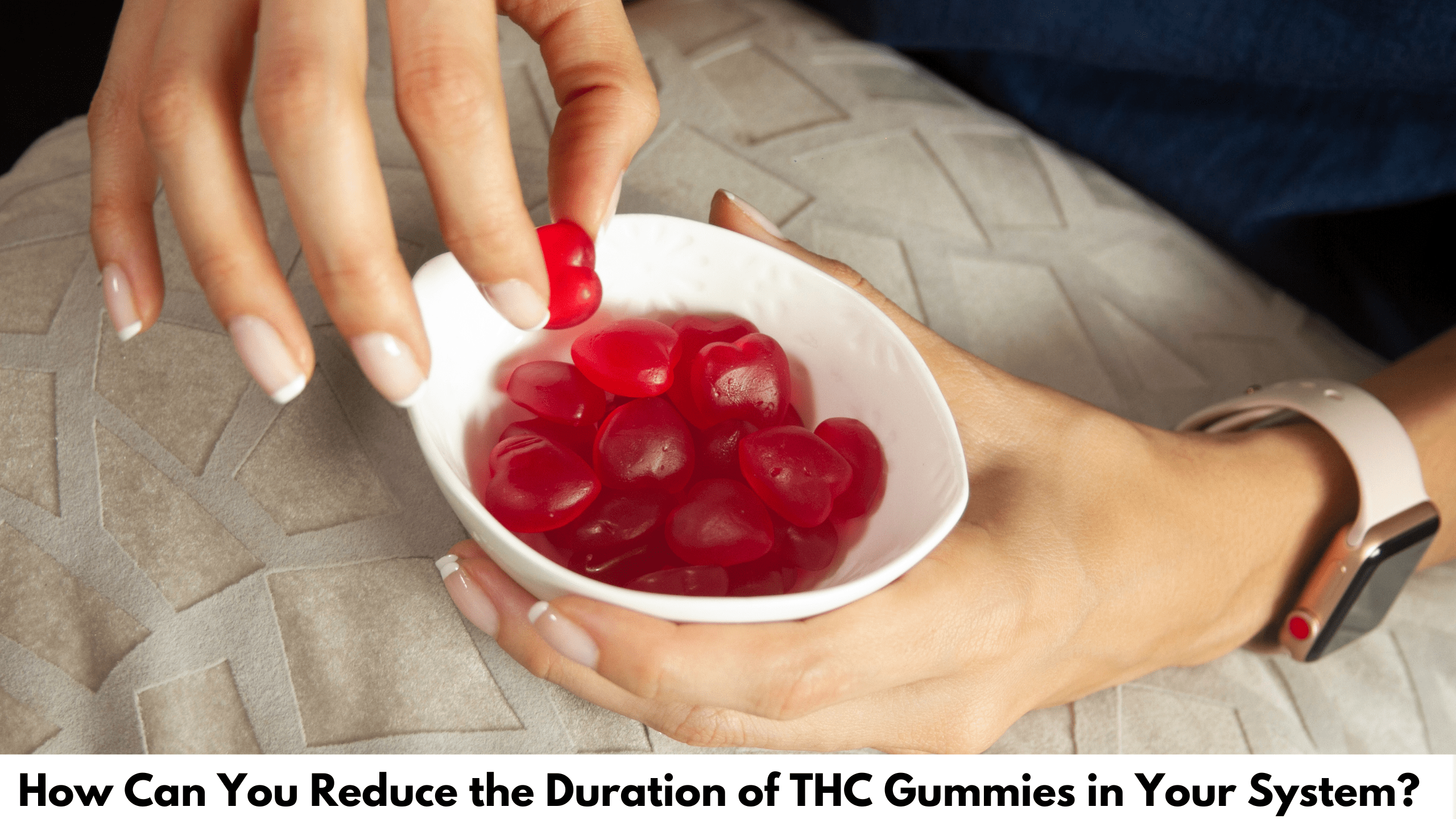 How THC Gummies Work in the Body?